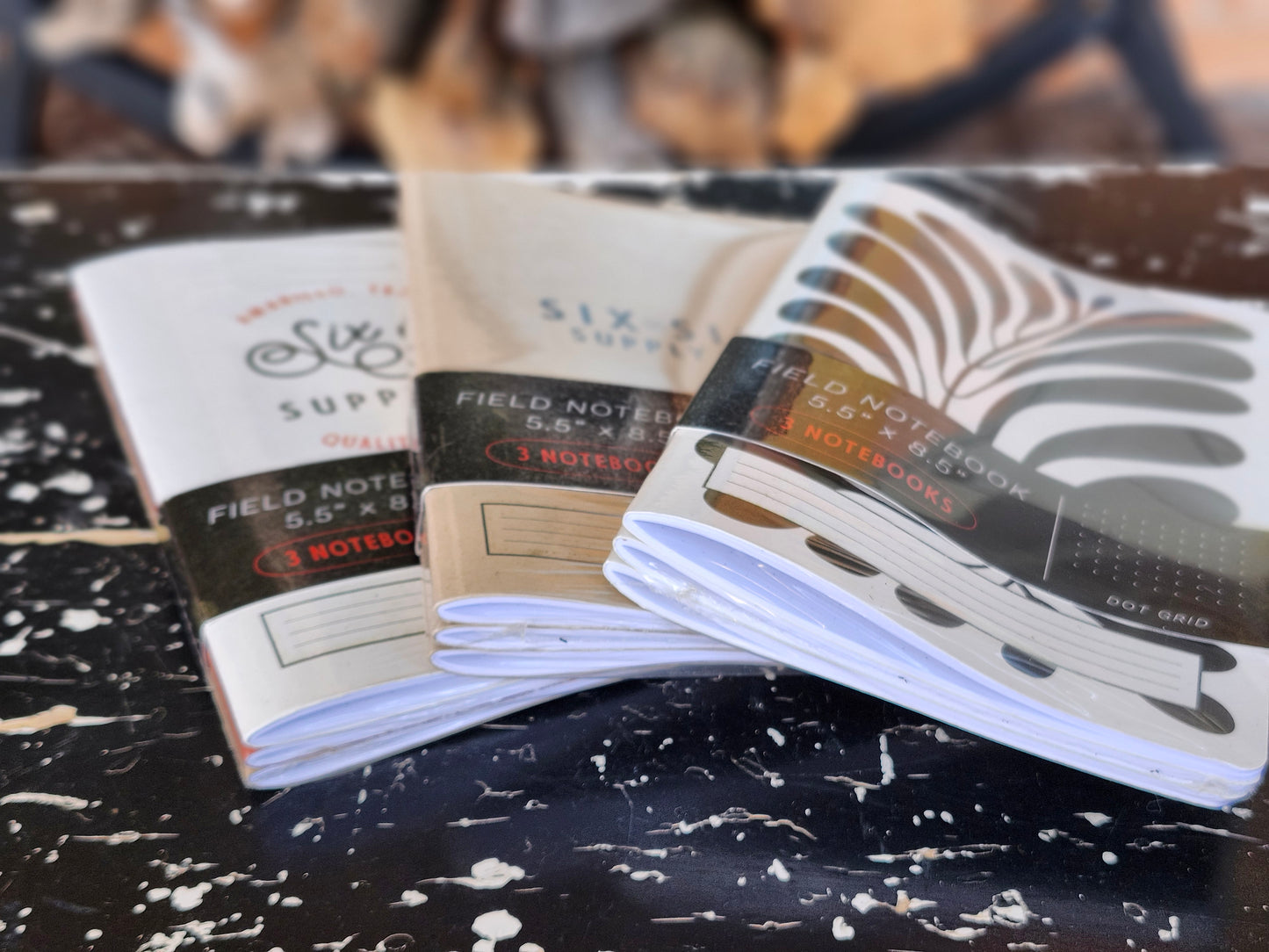 Field Notebook Set of 3
